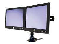 Ergotron Srie DS100 60-350-200