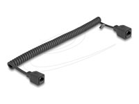 DeLOCK CAT 5e Ikke afskærmet parsnoet (UTP) 2m Forlængerkabel til netværk Sort