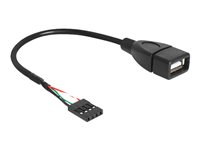 DeLOCK USB 2.0 USB intern til ekstern kabel 20cm