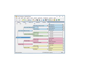 FAMILY TREE HERITAGE GOLD 16 ESD