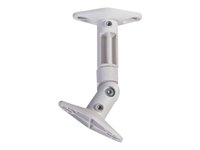 NEOMOUNTS SPEAKER-W100 Speaker Mount