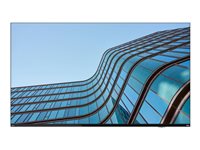 Lenovo ThinkVision  64A9GAT1EK