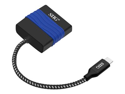 SIIG USB Type-C to DVI Video Cable Adapter