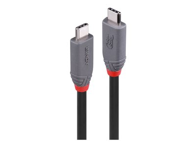 LINDY 2m USB 4 240W Type C Cable Anthra - 36958