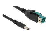 DeLOCK 8 pin USB PlusPower (12 V) (male) - Strøm DC jackstik 2,1/5,5 mm (male) Sort 3m Forstærket USB kabel