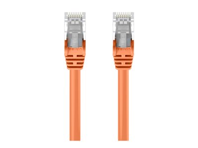 Belkin - Patch cable