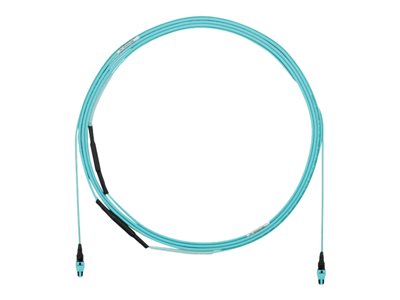 Panduit - Trunk cable