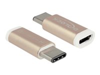 DeLOCK USB 2.0/ USB 3.1 USB-C adapter Guld