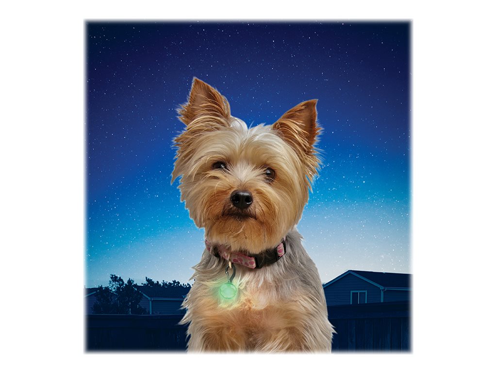 Nite ize petlit led best sale collar light