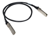 HPE Aruba - Câble d'attache directe 100GBase - QSFP28 (M) pour QSFP28 (M) - 5 m 