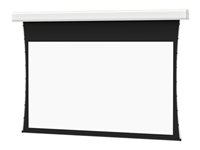 Da-Lite Tensioned Advantage Projection screen in-ceiling mountable motorized 120 V 