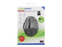 TNB ERGO Line Mini Wireless Mouse