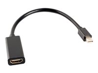 Lanberg Video / lyd adapter DisplayPort / HDMI 20cm Sort