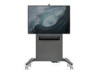Salamander FPS Series FPS1/FH/MS/GG Fixed Height Mobile Stand cart - for interactive flat panel / touchscreen - graphite