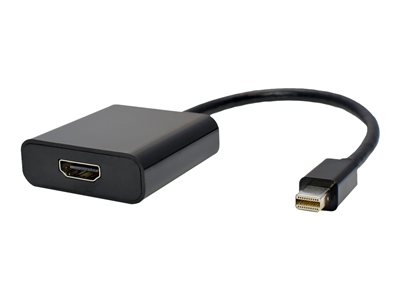 Weltron - Adapter - Mini DisplayPort male to HDMI female