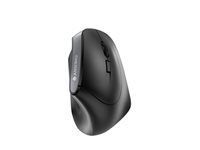 Cherry Souris JW-4500