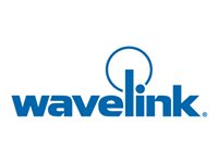 Wavelink Support and Maintenance Technical support for Wavelink Speakeasy Voice Plug-in 