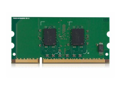 HP - DDR2 - module - 256 MB
