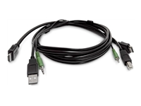 StarTech.com - Câble adaptateur - HDMI, prise audio de 3,5 mm, USB type A mâle pour HDMI, prise audio de 3,5 mm, USB Type B mâle