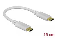 DeLOCK USB-C / power cable 15cm Hvid