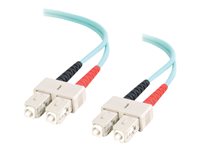 Cables To Go Cble rseau 85514