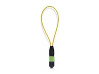 Startech loopback adapter - TAA Compliant - blue