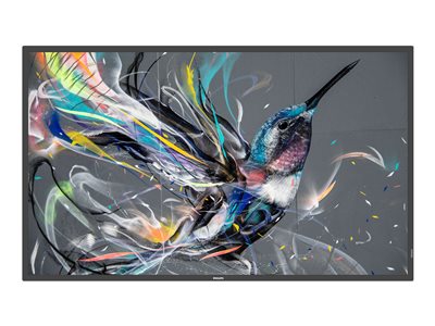 Philips 43BDL3650Q
