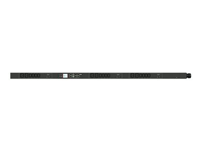Raritan PX3-5599JV - Power distribution strip (rack-mountable)