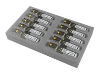 StarTech.com Produits StarTech.com GLCT10PKST