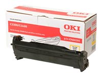 Oki Consommables 43460205