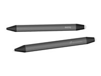 BenQ TPY24 Digital pen wireless gray (pack of 2) for RM03 Series TPY2