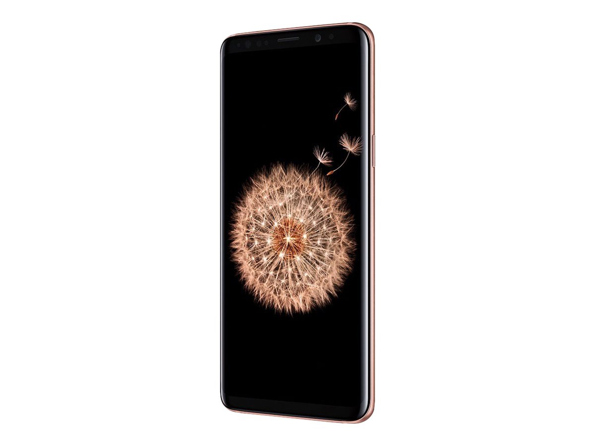 Samsung Galaxy S9 - 4G smartphone | punchout.shi.com