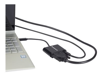 Black Box - Adapter - dual link