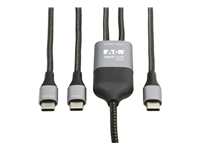 Eaton Tripp Lite Series - Câble USB pour connexion directe - 24 pin USB-C (M) pour 24 pin USB-C (M) - 5 A 