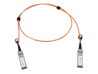 ENET - 10GBase-AOC direct attach cable - SFP+ to SFP+ - 3 m - 3 m - fiber optic - Active Optical Cable (AOC) - for Cisco Catalyst 6880; Nexus 7000, 7000 M2-Series, 7700 F2-Series, 93180, 93XX; UCS C4200
