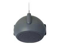 Bogen MPS1B Speaker black