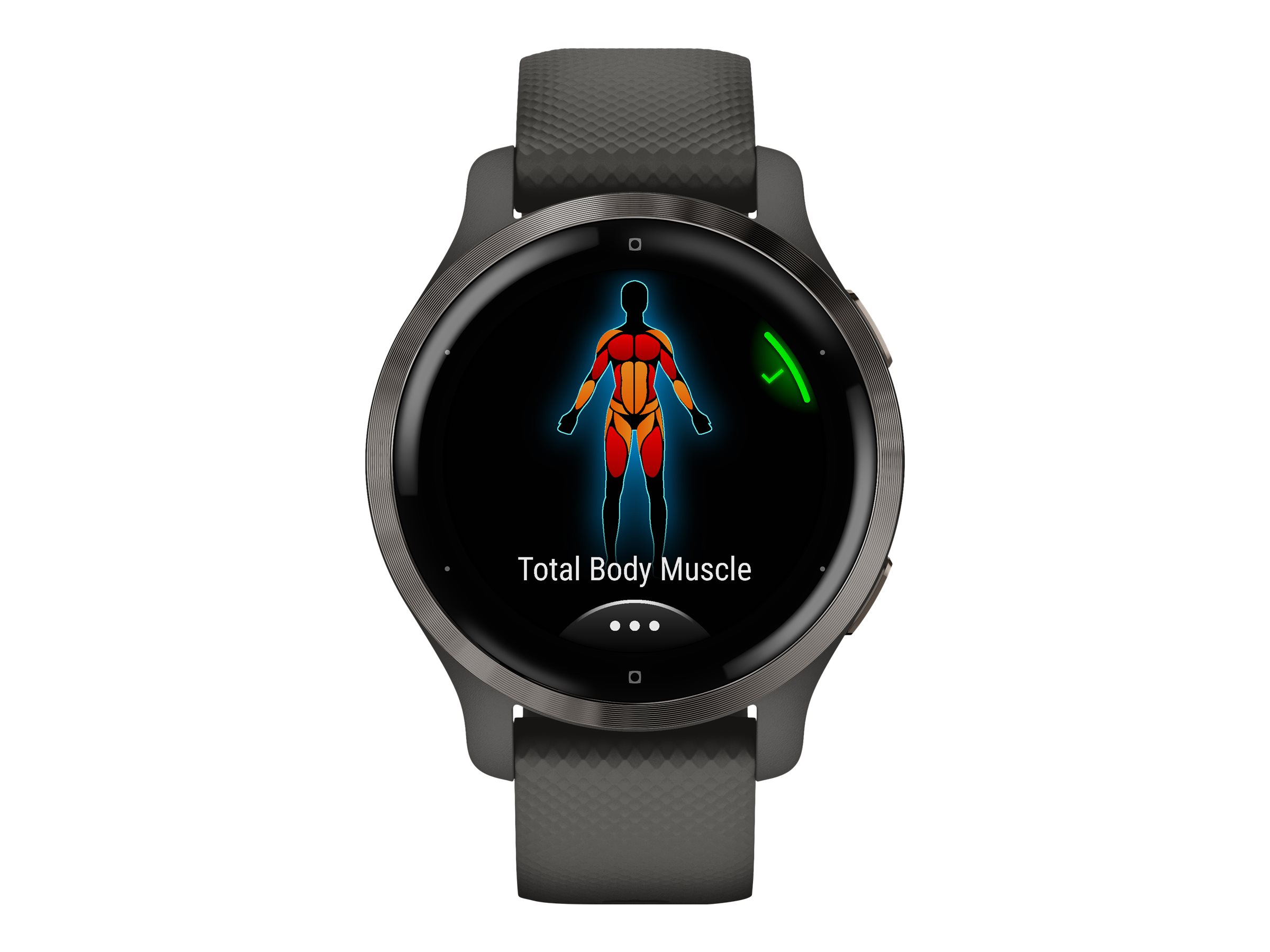 Garmin Venu 2S Smartwatch - Slate