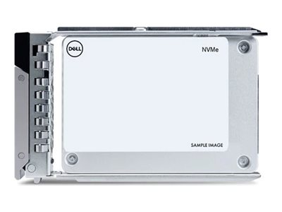 Dell - SSD - Enterprise, Write Intensive