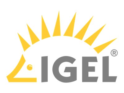 Igel Technology