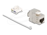 DeLOCK CAT 6a Nøglestensmodul Hvid Sølv