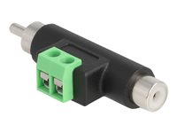 DeLOCK Video / lyd adapter