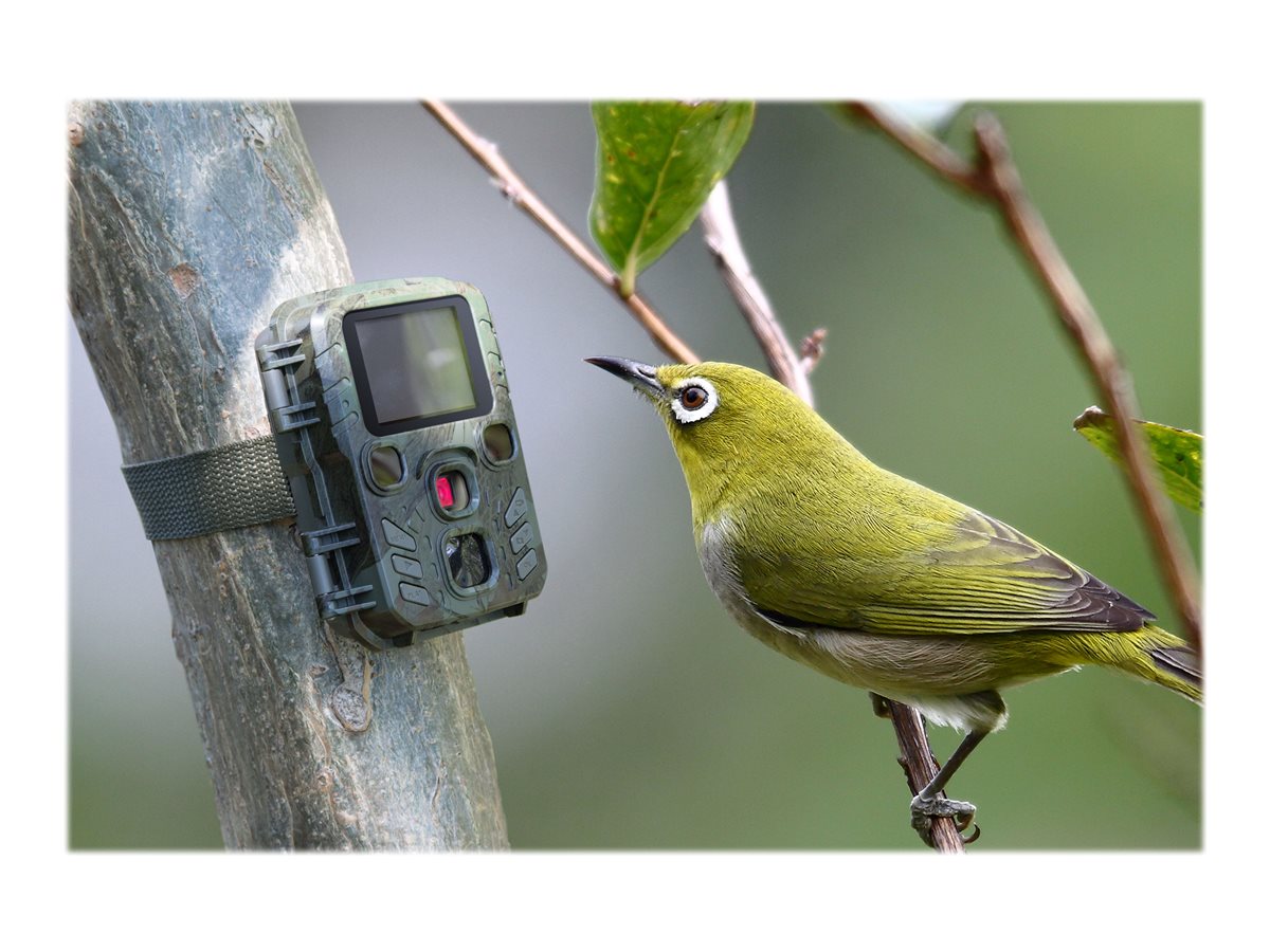 Technaxx Mini Nature Wild Cam TX-117 - Kameraverschluss - 2.0 MPix / 12.0 MP (interpoliert) - 1080p / 25 BpS