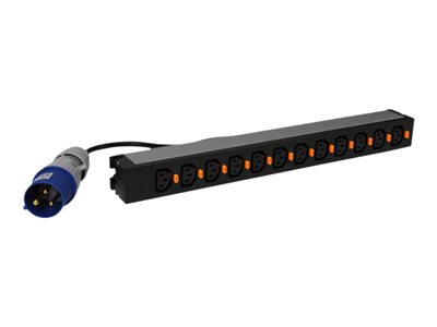 Basic PDU 19" 12 C13 outputs