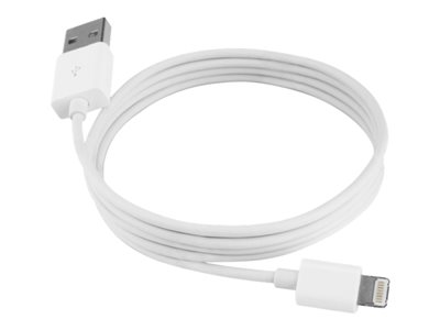 I/OMagic Lightning cable Lightning male to USB male 4 ft white 