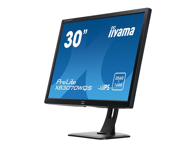 iiyama 30