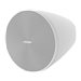 Bose DesignMax DM5P