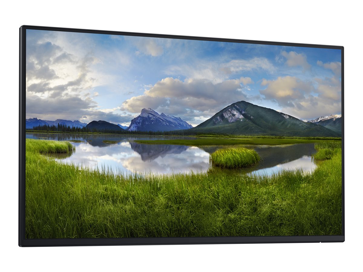 Dell P2425H (DELL-P2425HWO) – foto 3
