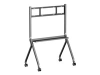 Iiyama Options Iiyama MD-CART02-S1