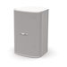 Bose Professional DesignMax DM5SE