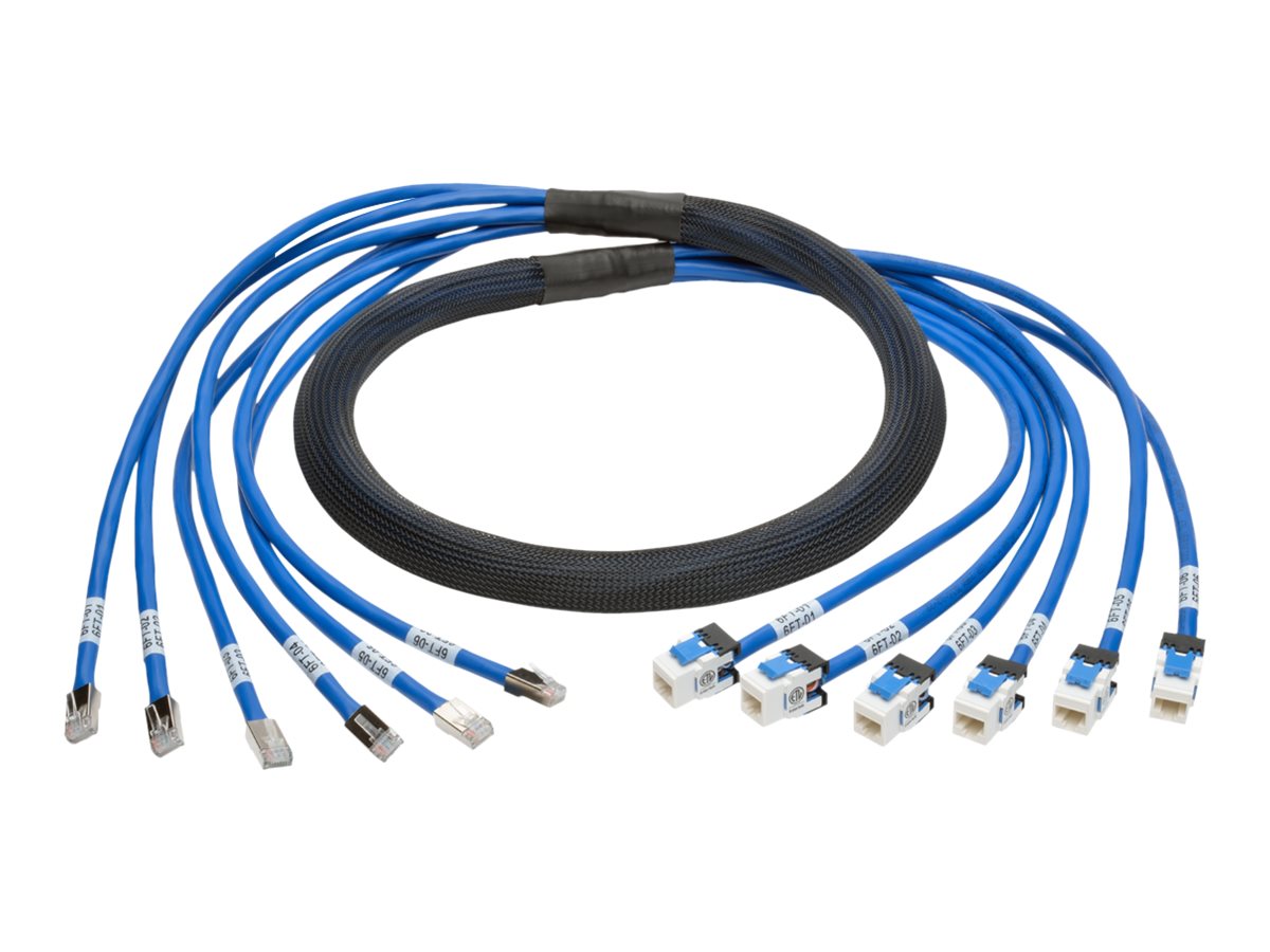 Tripp Lite 6ft Augmented Cat6 Cat6a Pre-Terminated Copper trunk Bundle 6xRJ45 M/F 6'